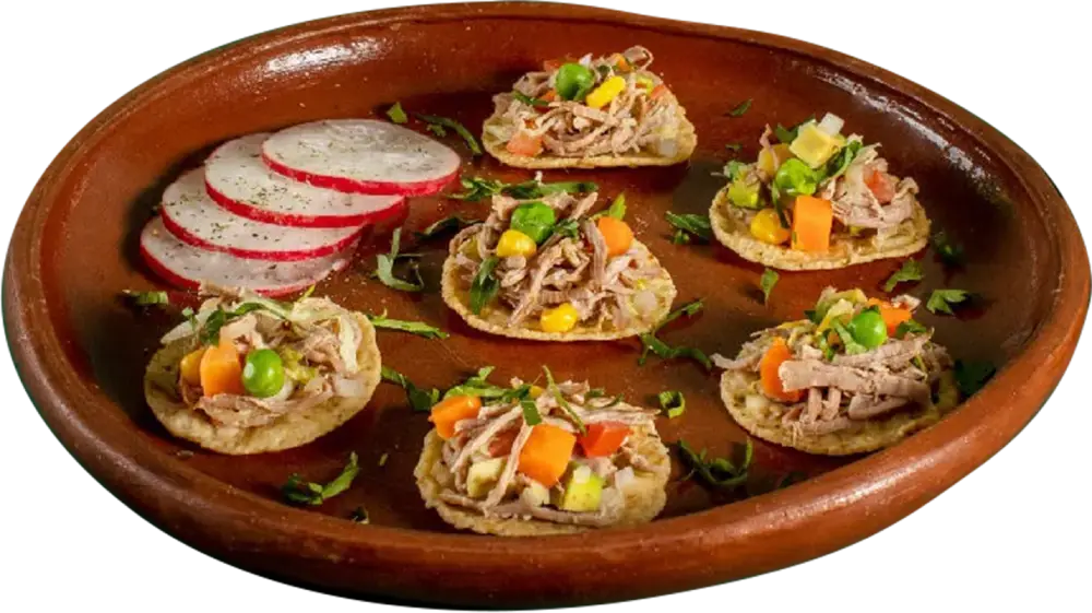 tostadas-salpicon-1-1
